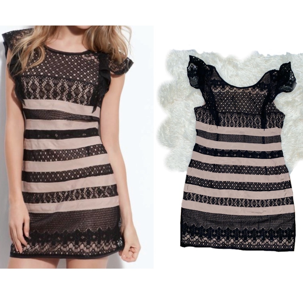 BCBG lace mused stripe dress with chic sleeve